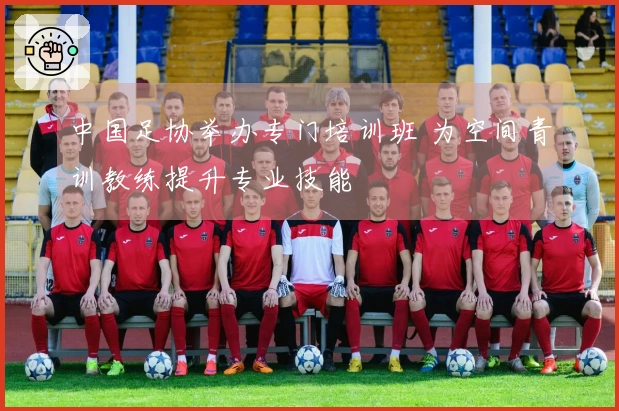 中国足协举办专门培训班 为空间青训教练提升专业技能