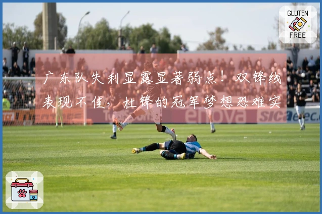 广东队失利显露显著弱点！双锋线表现不佳，杜锋的冠军梦想恐难实现